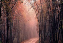 2024年全国女排冠军赛有哪些最新战况和看点？