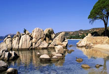 哪里能免费观看欧洲杯决赛直播？实用渠道与注意事项全解析